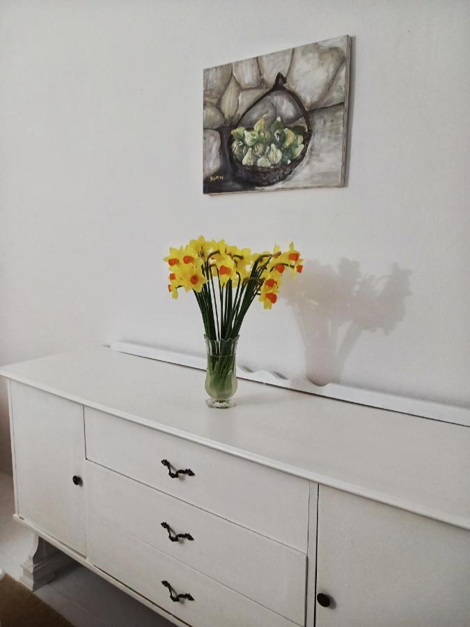 Apartman Kristina 캐플례나 외부 사진